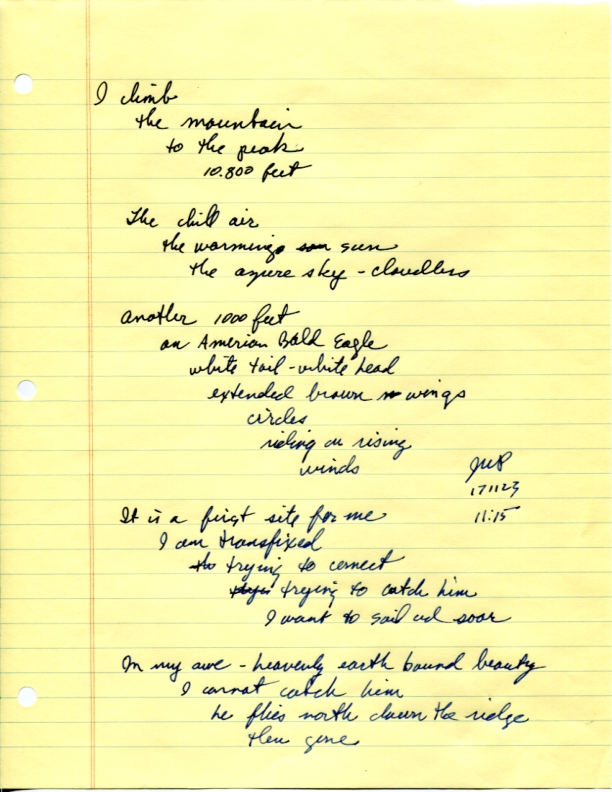 John WorldPeace Poems 2017